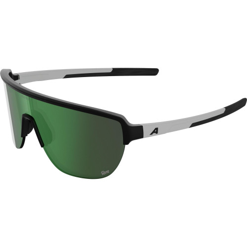 Unisex sluneční brýle ALPINA Ram 2.0 Q-Lite