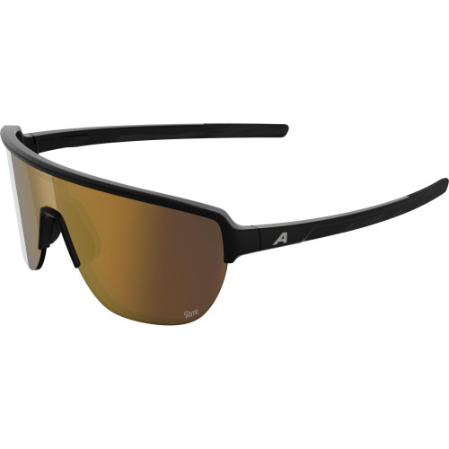 Unisex sluneční brýle ALPINA Ram 2.0 Q-Lite