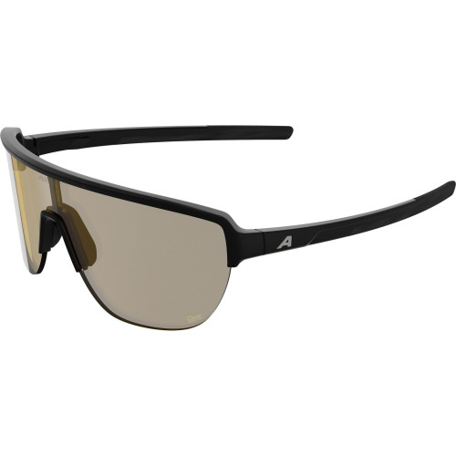 Unisex sluneční brýle ALPINA Ram 2.0 Q-Lite