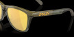 náhled Oakley FROGSKINS RANGE