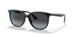 náhled Dámské sluneční brýle RAY-BAN RB 4378