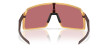 náhled Unisex sportovní brýle OAKLEY SUTRO