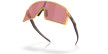 náhled Unisex sportovní brýle OAKLEY SUTRO