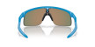 náhled Unisex sportovní brýle Oakley RESISTOR