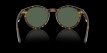 náhled Ray-Ban 0RBR0505S