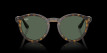 náhled Ray-Ban 0RBR0505S