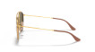 náhled Ray-Ban 0RB3647N