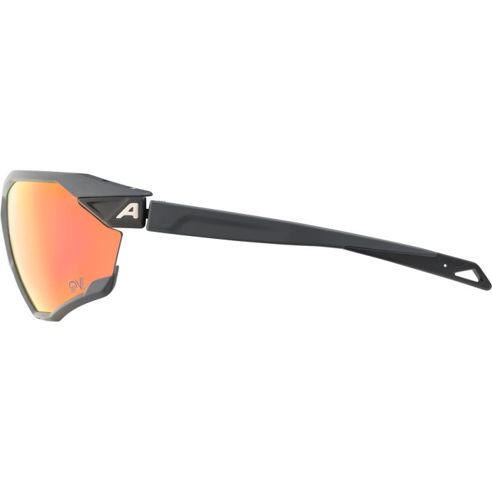 detail Unisex sluneční brýle ALPINA Twist Six QV