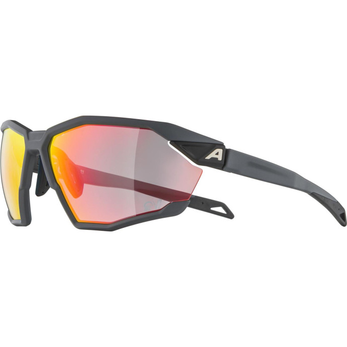 detail Unisex sluneční brýle ALPINA Twist Six QV