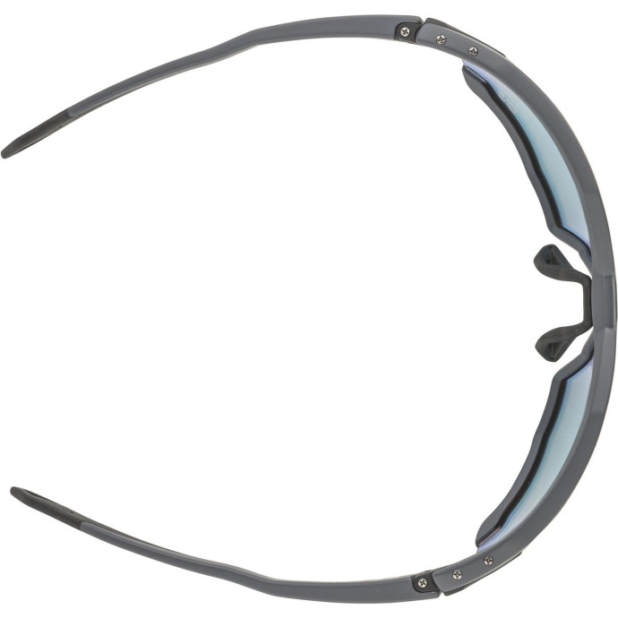 detail Unisex sluneční brýle ALPINA Twist Six QV