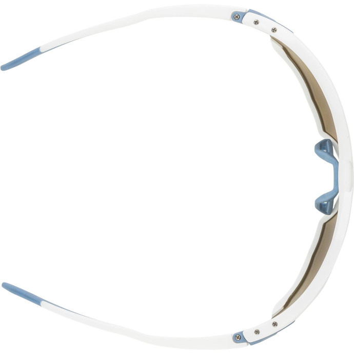 detail Unisex sluneční brýle ALPINA Twist Six Q