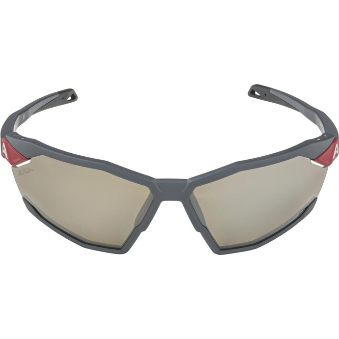 detail Unisex sluneční brýle ALPINA Twist Six Q