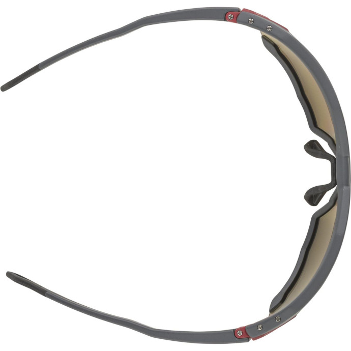 detail Unisex sluneční brýle ALPINA Twist Six Q