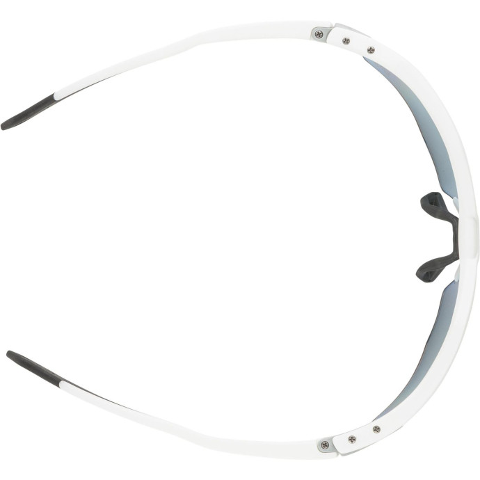 detail Unisex sluneční brýle ALPINA Twist Six S HR QV