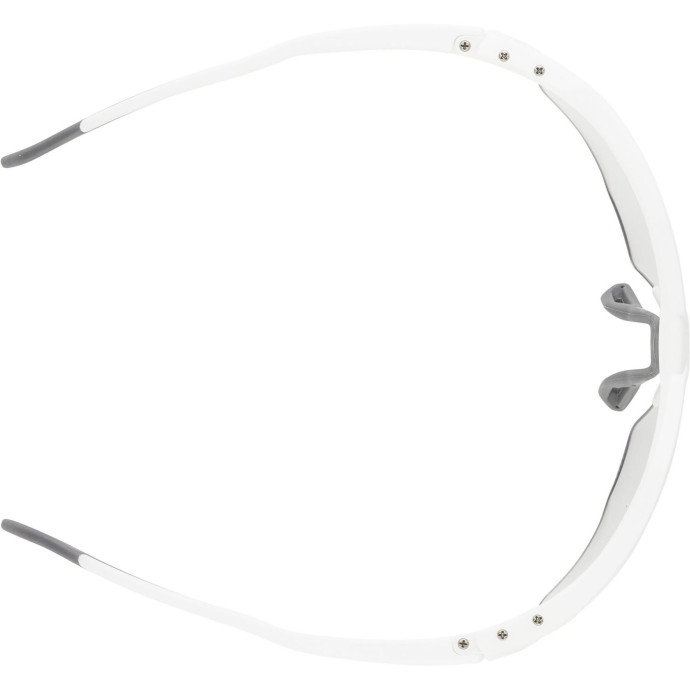 detail Unisex sluneční brýle ALPINA Twist Six S HR V