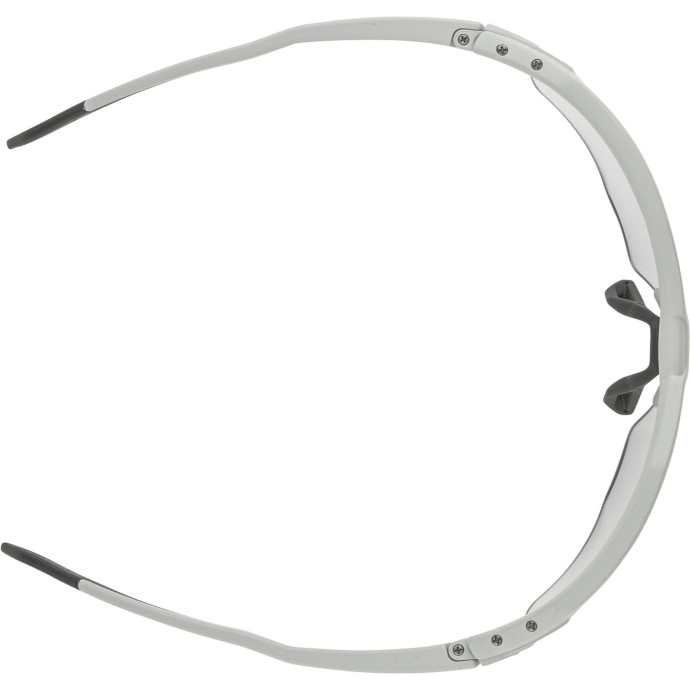 detail Unisex sluneční brýle ALPINA Twist Six S HR V