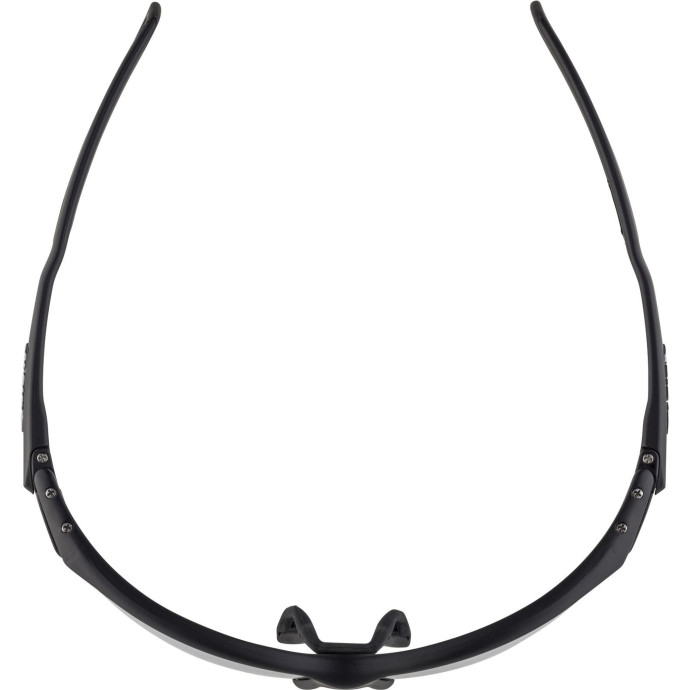 detail Unisex sluneční brýle ALPINA Twist Five HR S VL+