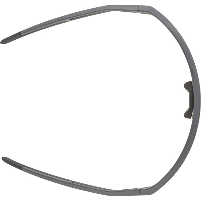 detail Unisex sluneční brýle ALPINA Sonic HR Q-Lite