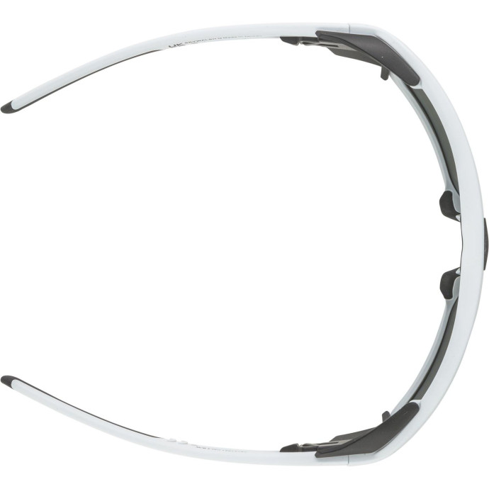 detail Unisex sluneční brýle ALPINA Skywalsh Q