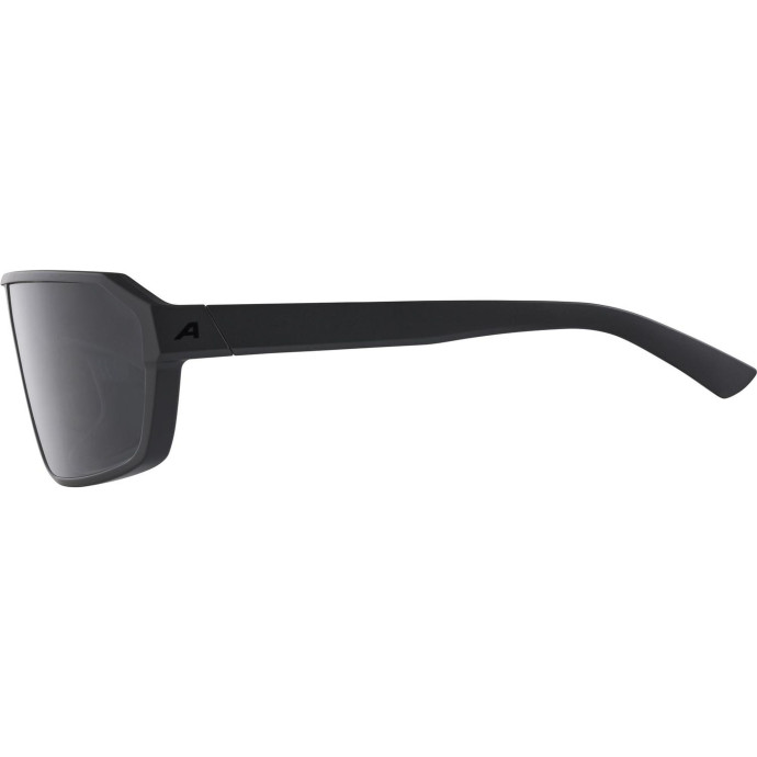 detail Unisex sluneční brýle ALPINA Swift