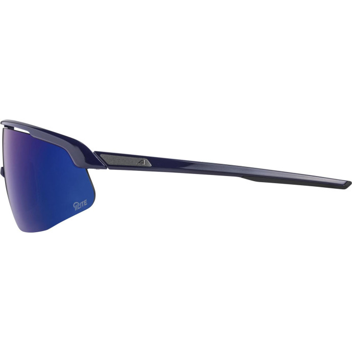 detail Unisex sluneční brýle ALPINA Turbo Pro Q-Lite