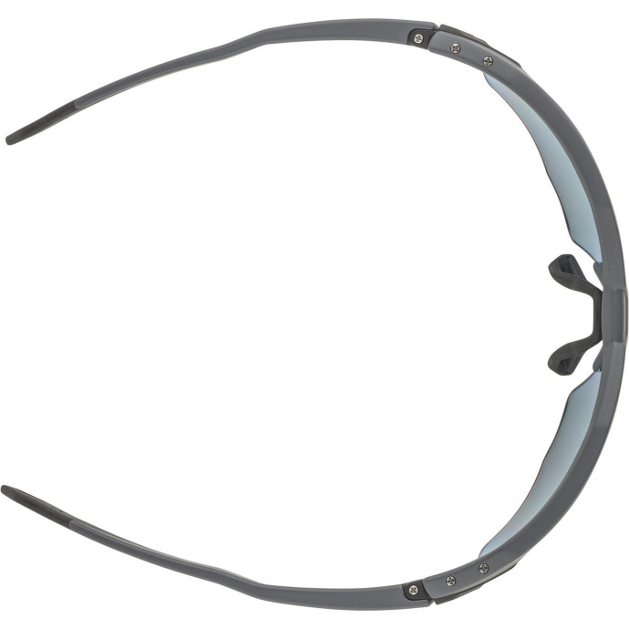detail Unisex sluneční brýle ALPINA Twist Six HR QV