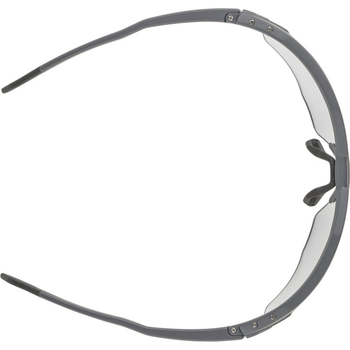 detail Unisex sluneční brýle ALPINA Twist Six HR V