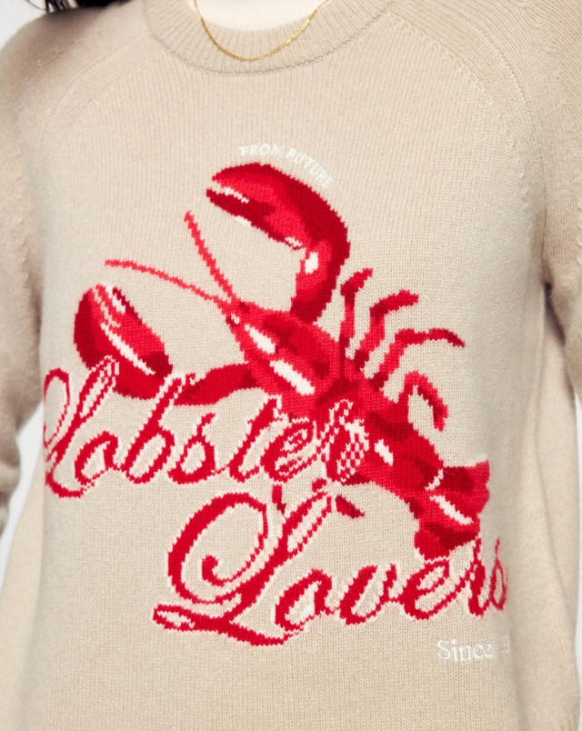 detail Dámský svetr FROM FUTURE ROUND NECK ICED SAND